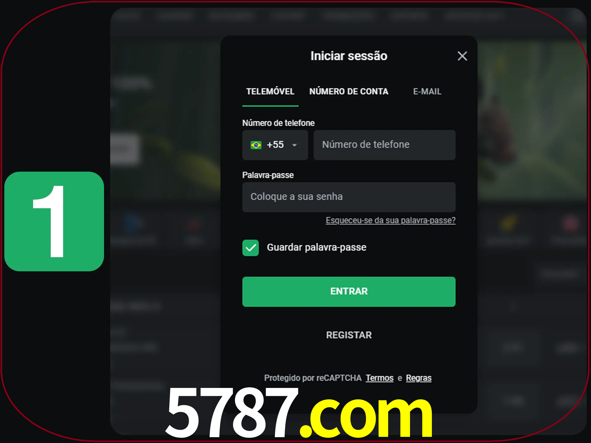 Clique no botão Entrar.